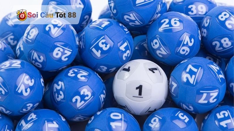 Bạch Thủ Lô Nuôi Khung 5 Ngày – Chiến Thuật Chốt Số Bất Tử