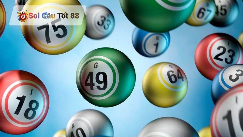 Lô Kép Khung 3 Ngày – Nuôi Cầu Bền Vững Ăn Quanh Năm